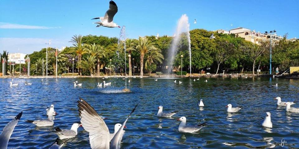 Apartament Torrevieja Experience Mar Azul Zewnętrze zdjęcie
